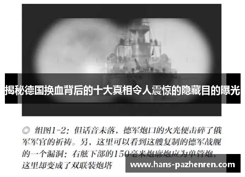 揭秘德国换血背后的十大真相令人震惊的隐藏目的曝光